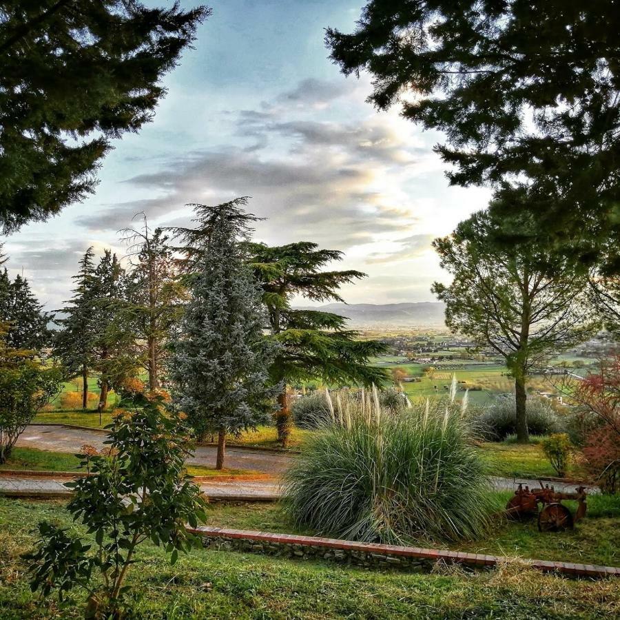 Casa Per Ferie Ulivo D'Assisi Villa Dış mekan fotoğraf