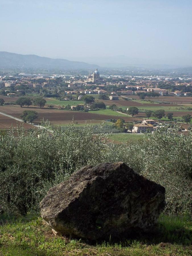 Casa Per Ferie Ulivo D'Assisi Villa Dış mekan fotoğraf