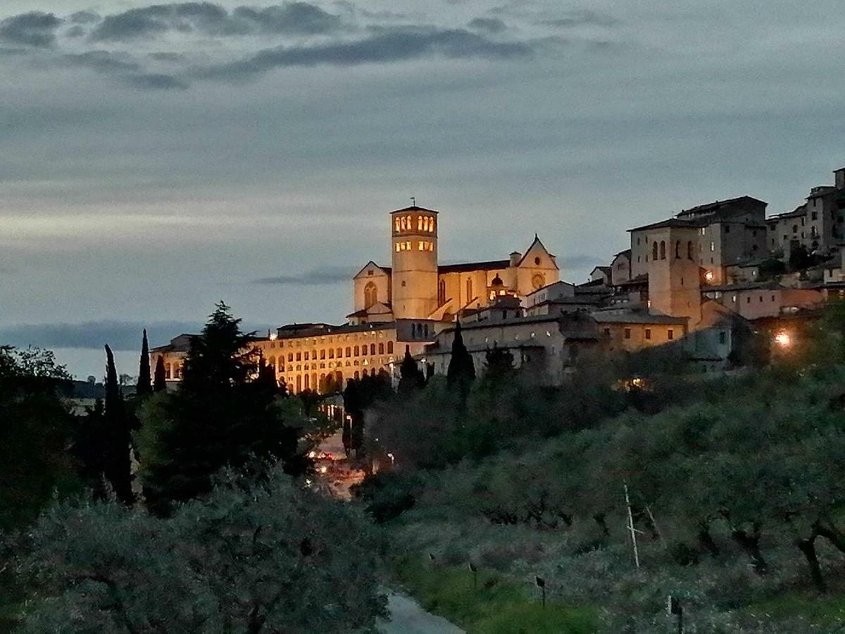 Casa Per Ferie Ulivo D'Assisi Villa Dış mekan fotoğraf