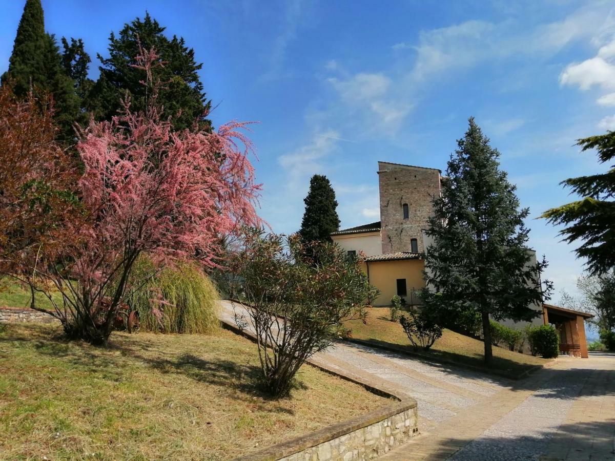 Casa Per Ferie Ulivo D'Assisi Villa Dış mekan fotoğraf